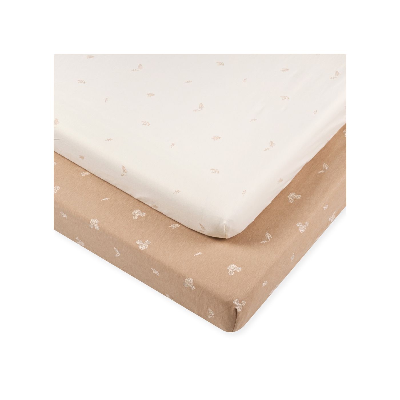 ��� ������ ���� ���� ������ ���