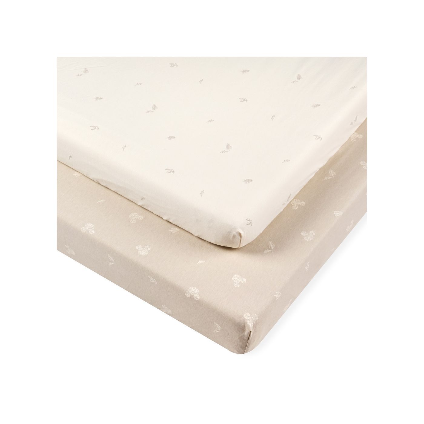 ��� ������ ���� ���� ������ ��'