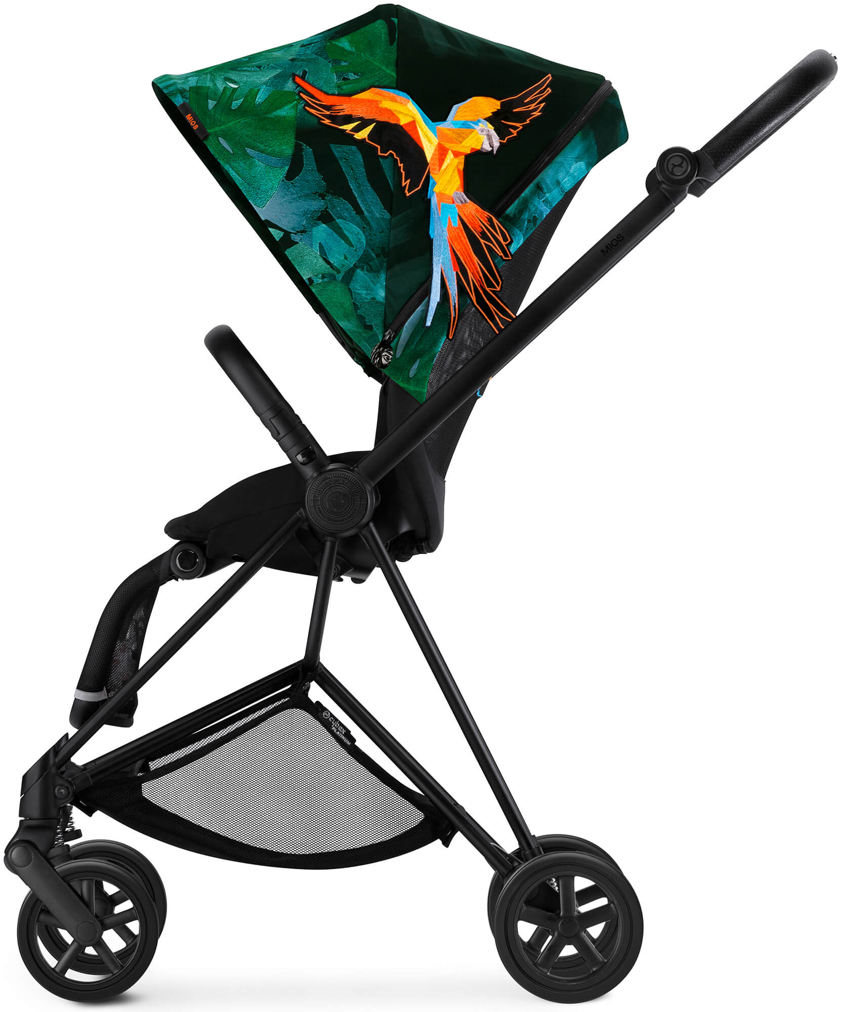���� ����� ���� | MIOS ������ ������ Birds Of Paradise