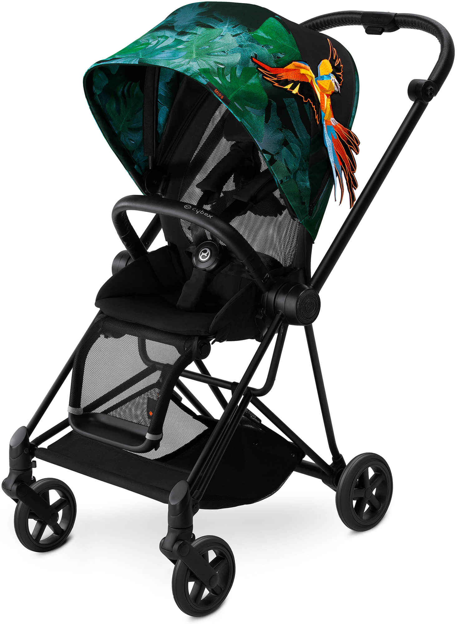 ���� ����� ���� | MIOS ������ ������ Birds Of Paradise