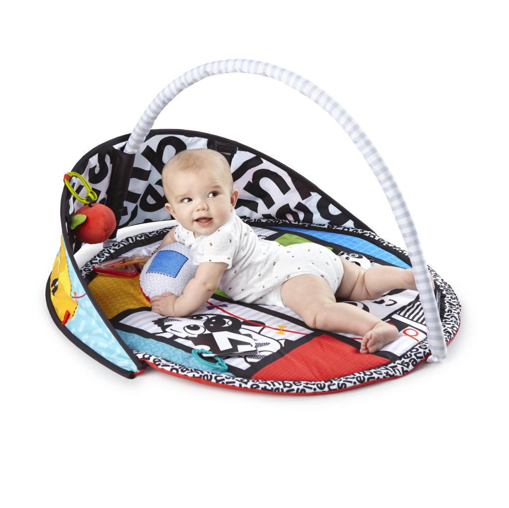 ���������� ���� - Baby Einstein BWB GYM