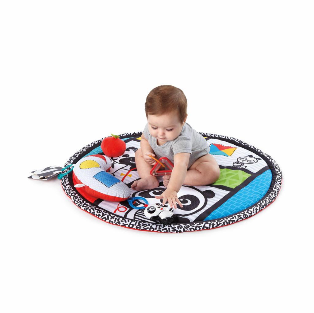���������� ���� - Baby Einstein BWB GYM