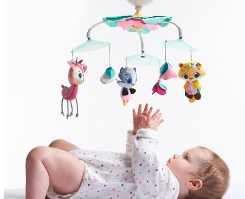 ������ ����� ��� ����� ����� ���� ����� ��� ������ ������