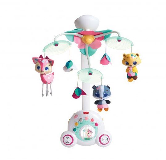 ������ ����� ��� ����� ����� ���� ����� ��� ������ ������