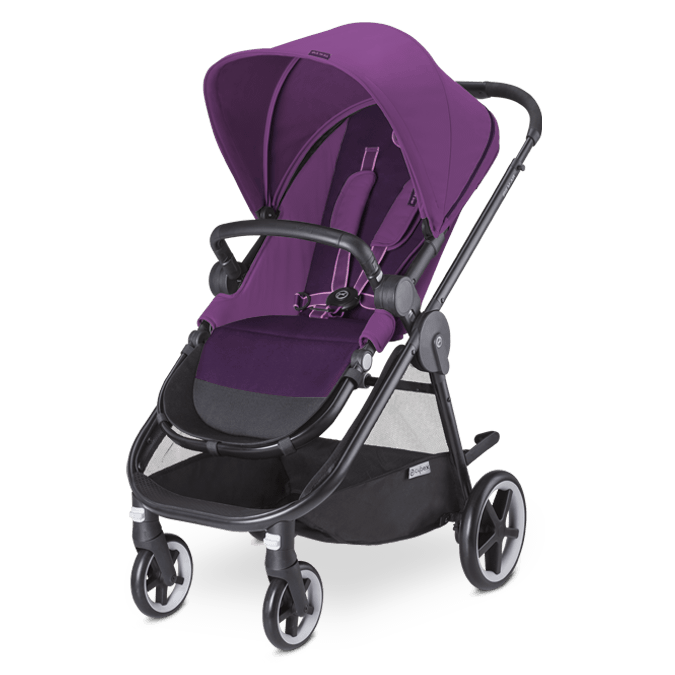 ���� ������ IRIS ������ CYBEX ������+������ - ���� -