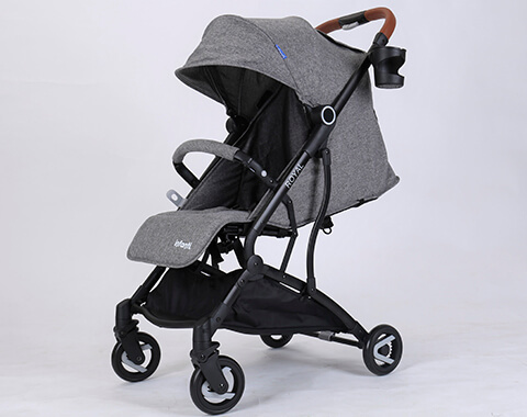 ������ ����� ���� Infanti �������