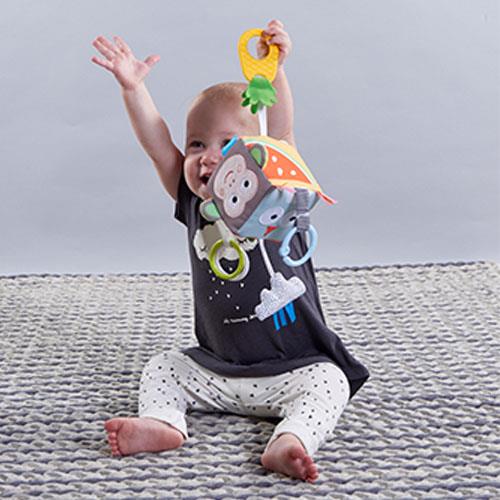 ������ ���� ���������- "�� ���� taf toys"