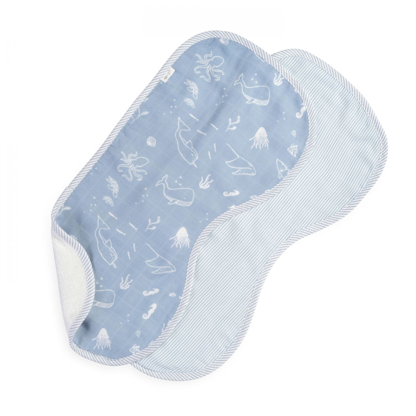 ������ ����� ����� ���� ���