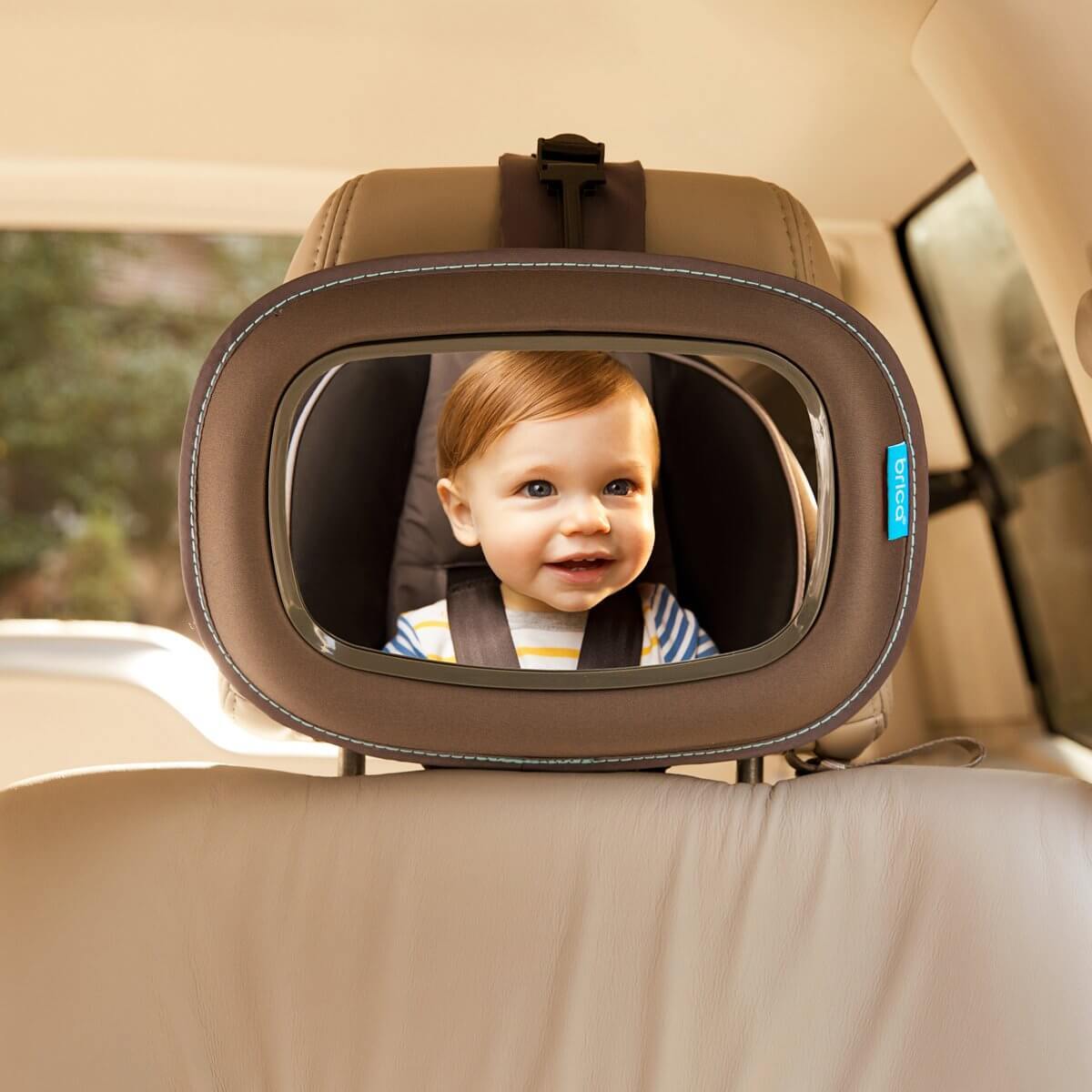 ���� ������ ����� ������ munchkin