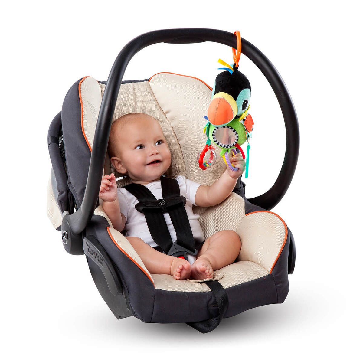 ���� ������ ������ ���� ����� ����� bright starts