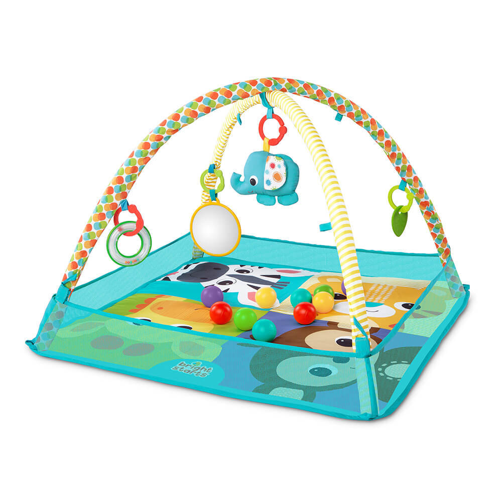 ���� ������ ������ ����� ������ bright starts