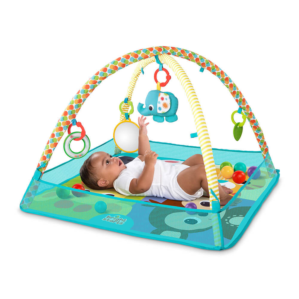 ���� ������ ������ ����� ������ bright starts
