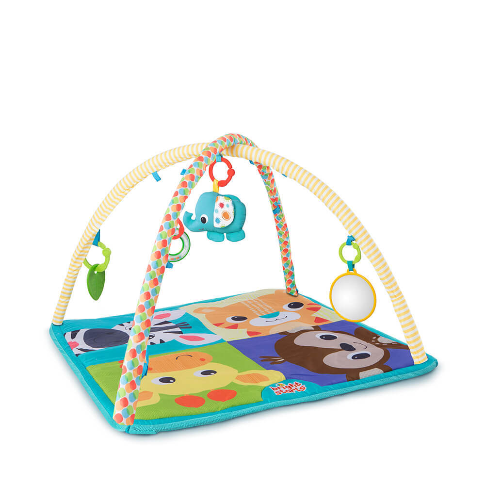 ���� ������ ������ ����� ������ bright starts