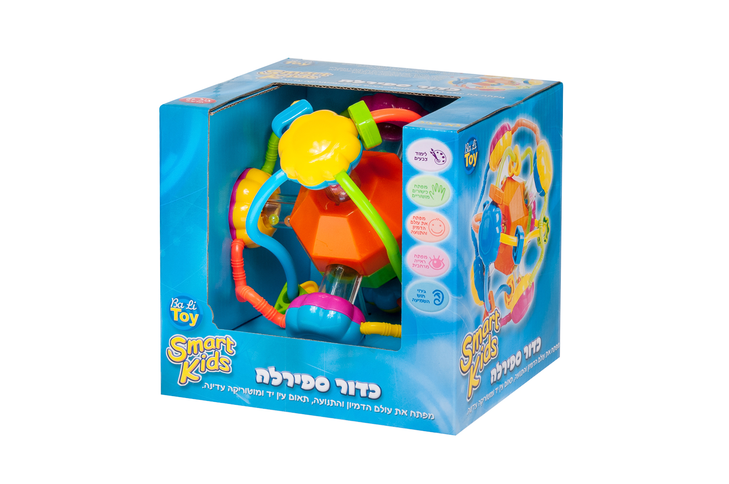 ���� ������ - smart kids
