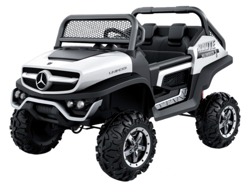 ���  ����� 2 ������ Mercedes Unimog  24V 