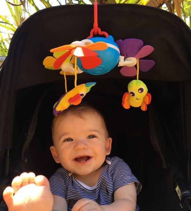 ������ ������� ���� - Playgro