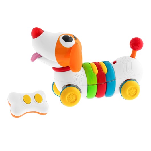 ��� �������� �� ��� -  Dog Remi RC
