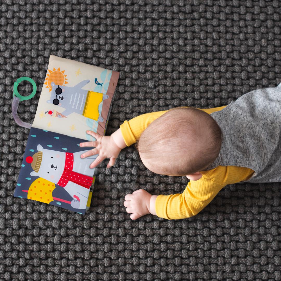 ��� ������ - �� ��� ���� taf toys