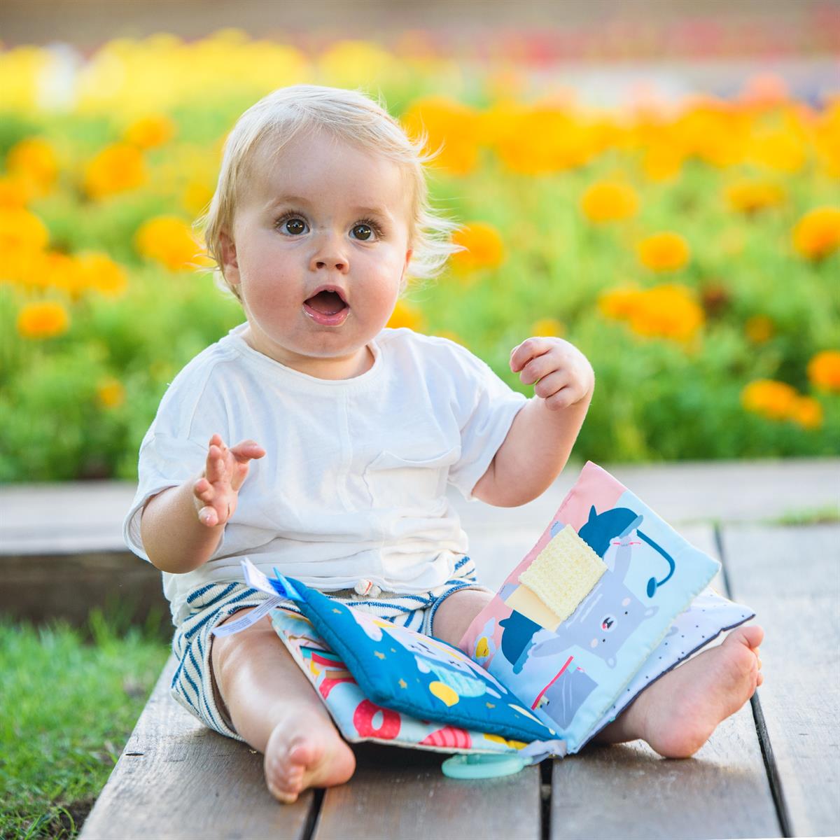 ��� ������ - �� ��� ���� taf toys