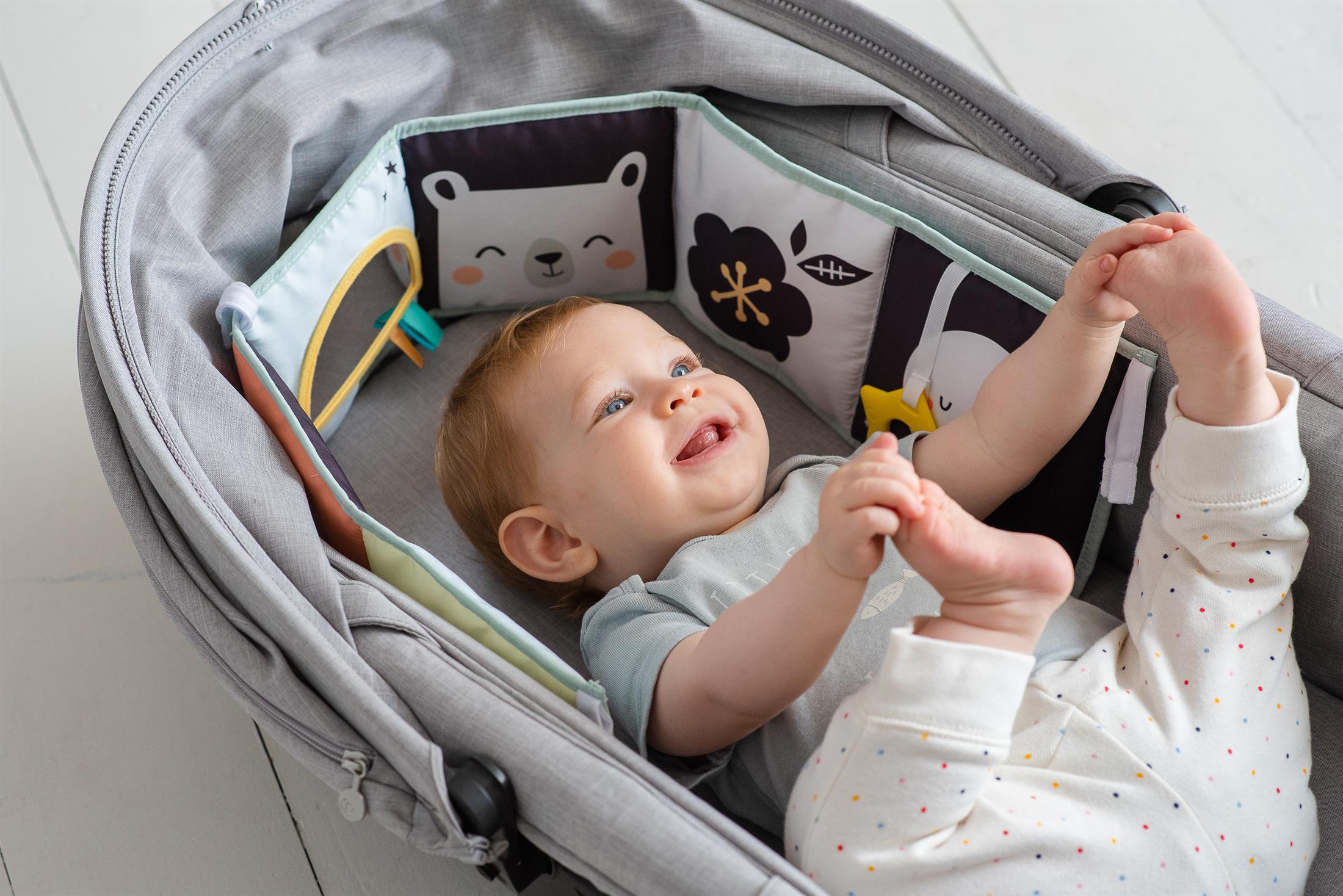 ��� ������ ����� ����� ������ taf toys