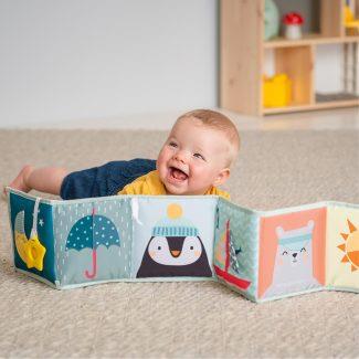 ��� ������ ����� ����� ������ taf toys