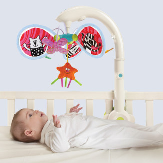 ������ �������� ���� ����� taf toys