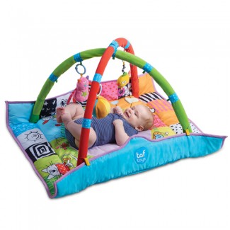 ���������� ���� ���� ��� ��� ���� taf toys
