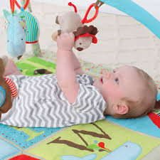 ���� ������ ����������� �� ���� ���� ��� � Skip Hop Alphabet Zoo Activity Gym