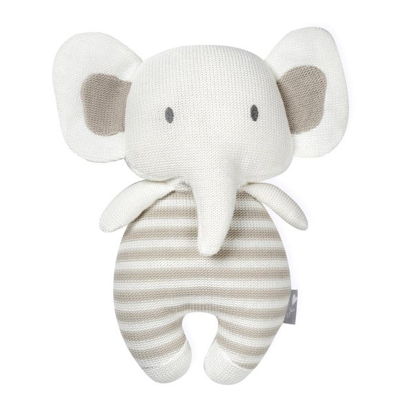 ���� ����� ���