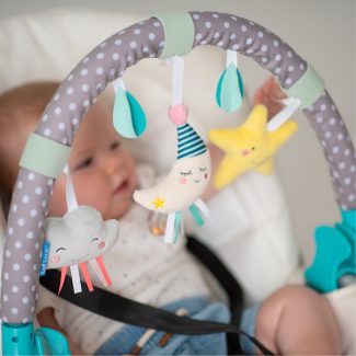 ��� ����� ���� ��� taf toys