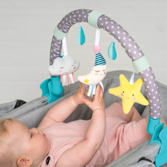 ��� ����� ���� ��� taf toys
