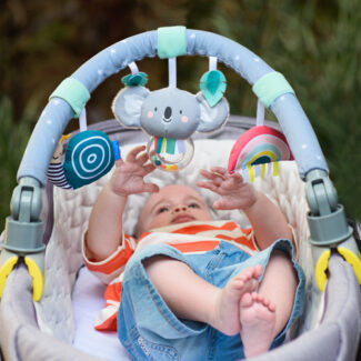 ��� ����� ����� taf toys