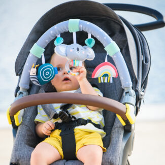 ��� ����� ����� taf toys