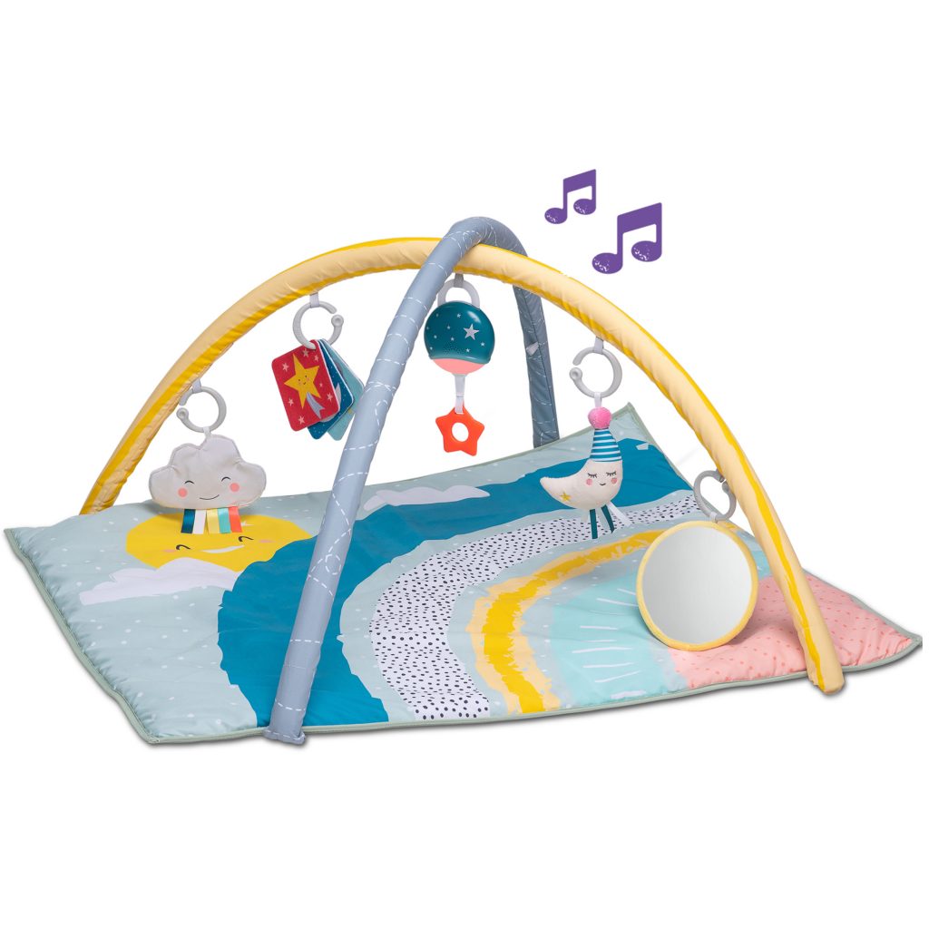 ����� ������ ���� ��� � ���������� taf toys