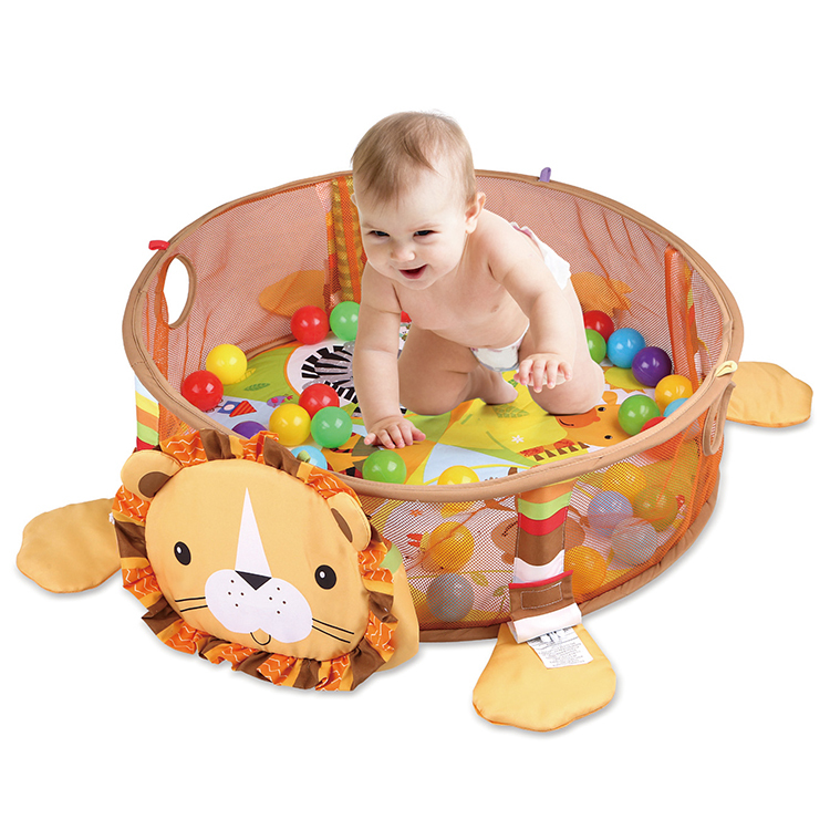 ����  ������ ������ ������ pit toys ��� ����