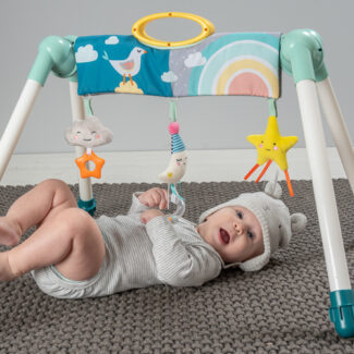 ���������� ������ ���� ��� taf toys