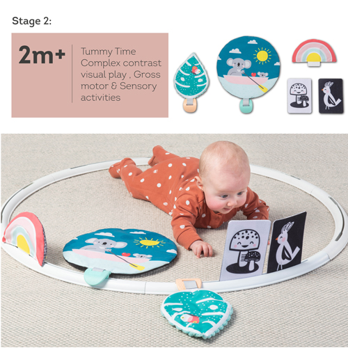 ����� ������ ��� ����� taf toys