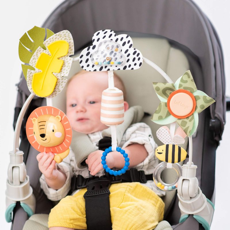 ��� �������� ������ taf toys
