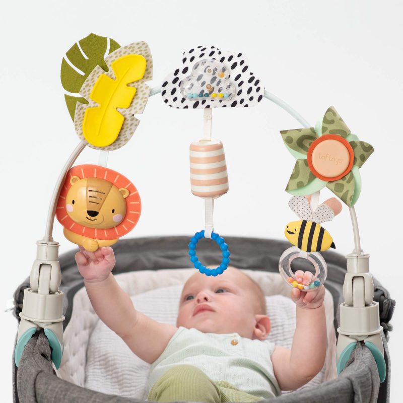 ��� �������� ������ taf toys
