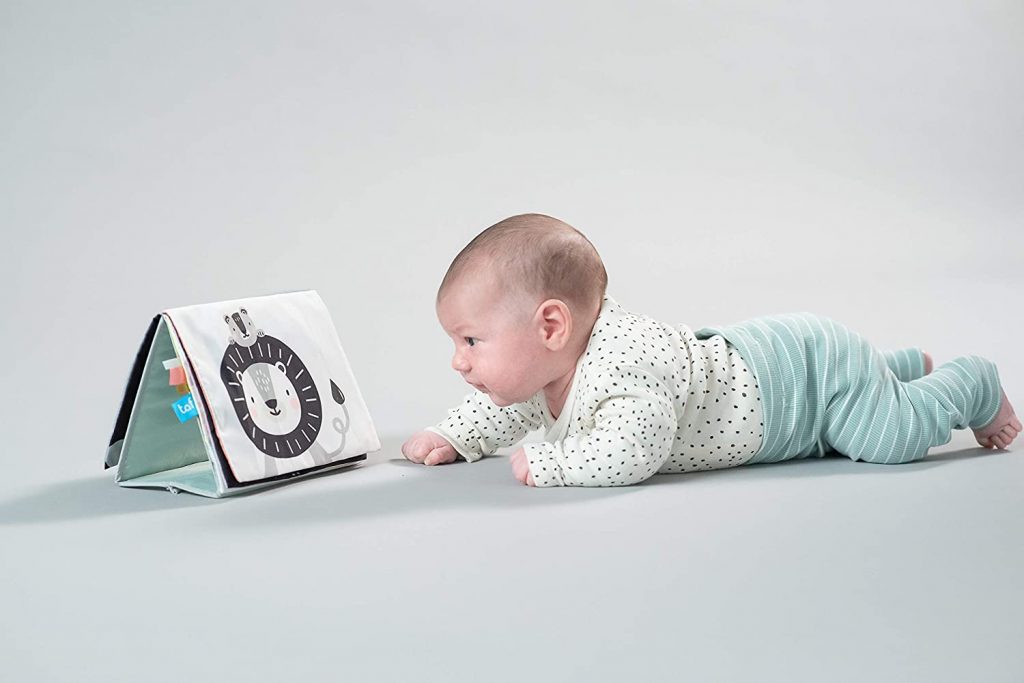 ��� ������ ���� ��� ������ taf toys