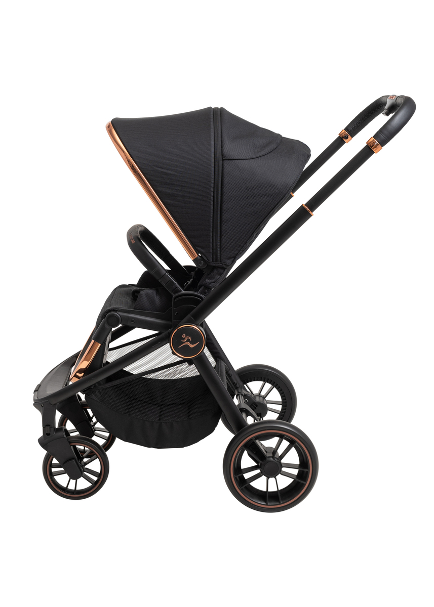 ���� CIELO PL ROSE GOLD 2022 - ���� ���� ����