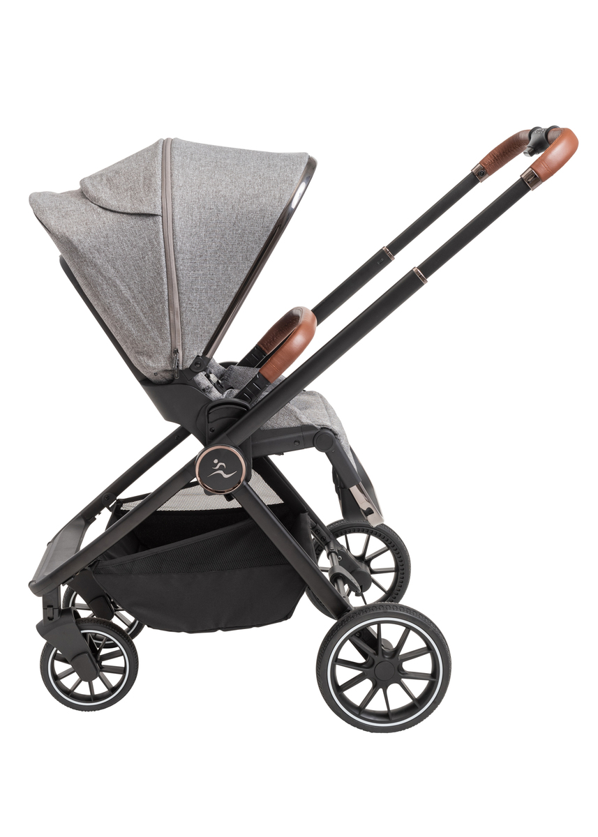 ���� CIELO PRO 2022 - ���� ���� ����