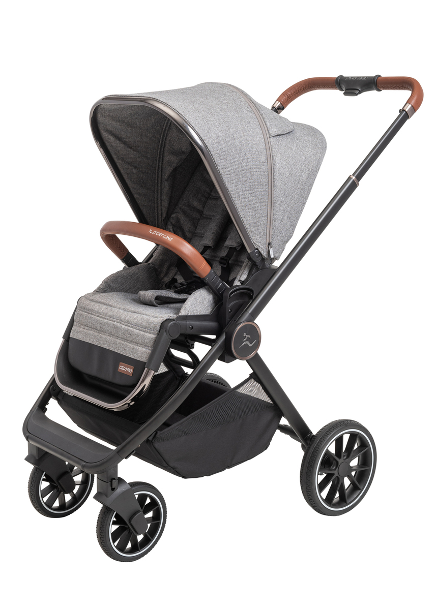���� CIELO PRO 2022 - ���� ���� ����