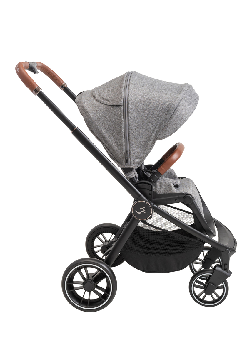 ���� CIELO XL 2022 - ���� ���� ����