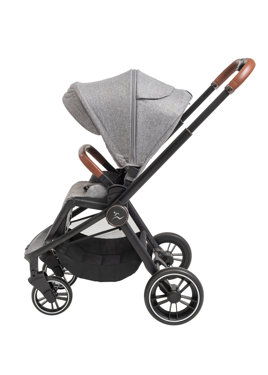 ���� CIELO XL 2022 - ���� ���� ����
