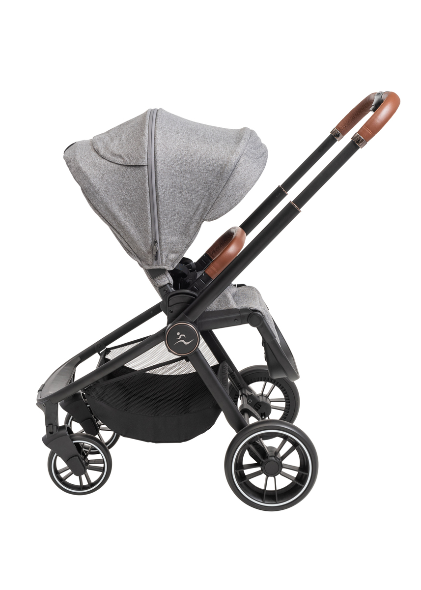 ���� CIELO XL 2022 - ���� ���� ����