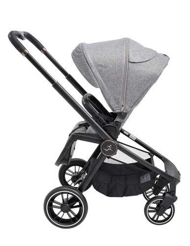 ���� CIELO XL 2022 - ���� ���� �����
