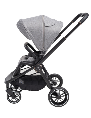 ���� CIELO XL 2022 - ���� ���� �����