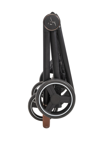 ���� CIELO XL 2022 - ���� ���� �����
