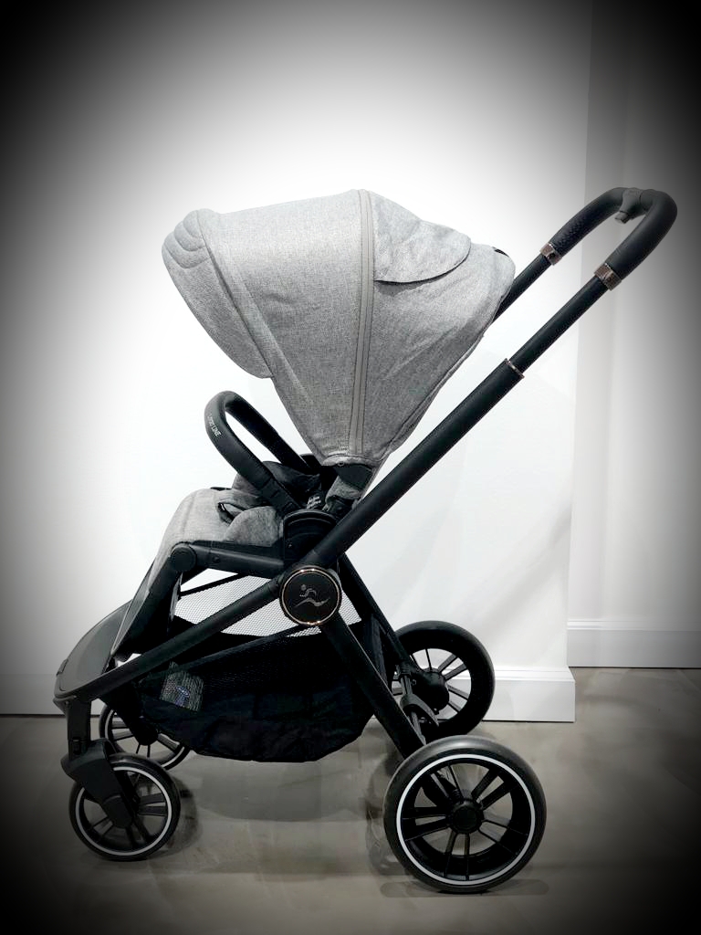 ���� CIELO XL 2022 - ���� ���� �����